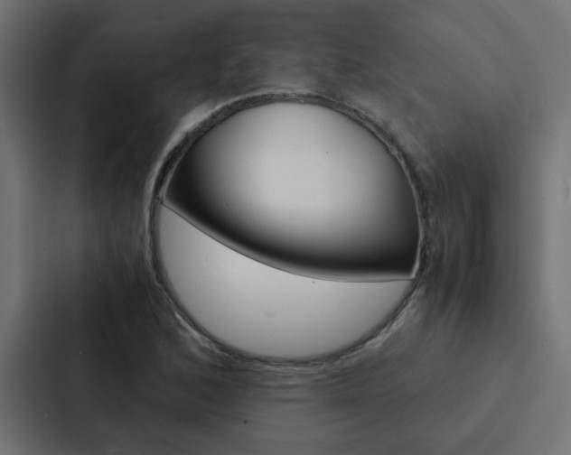 X0000088231168200705151043