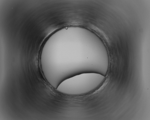 X0000088231170200705151043