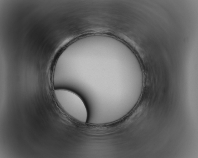 X0000088231171200705151043