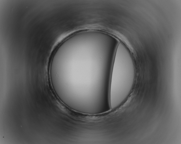 X0000088231176200705151043