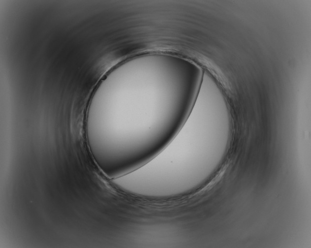 X0000088231177200705151043