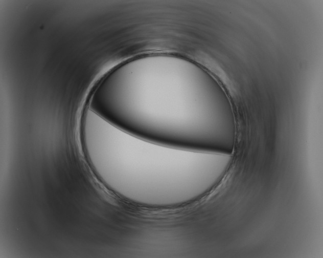 X0000088231179200705151043