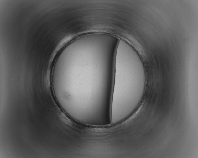 X0000088231180200705151043