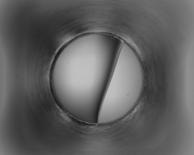 X0000088231181200705151043