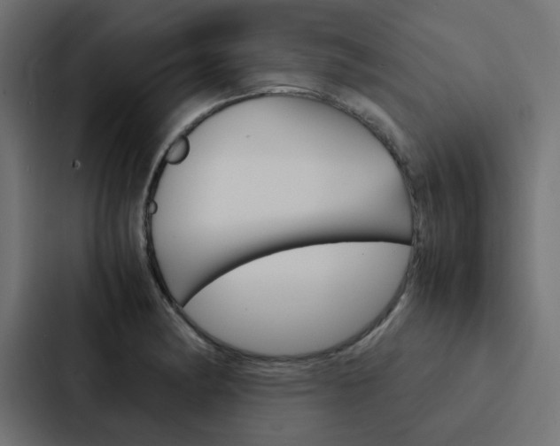 X0000088231182200705151043