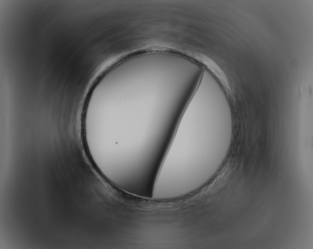 X0000088231183200705151043