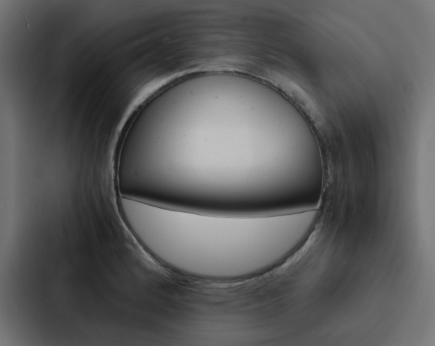 X0000088231184200705151043