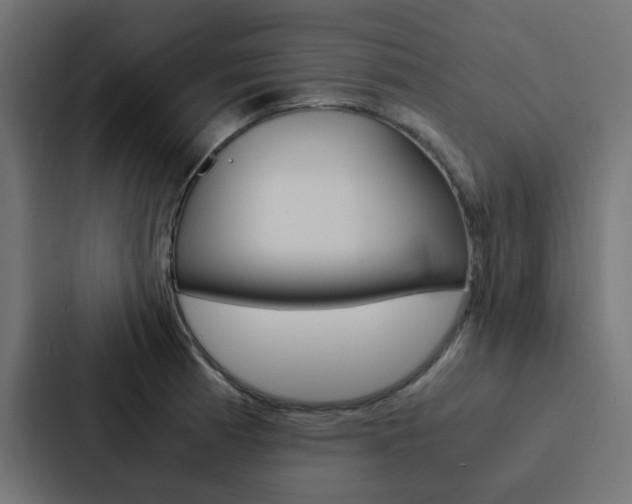 X0000088231185200705151043
