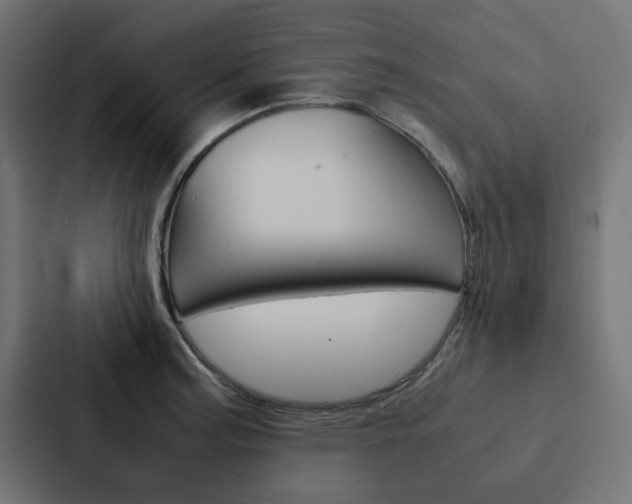 X0000088231187200705151043