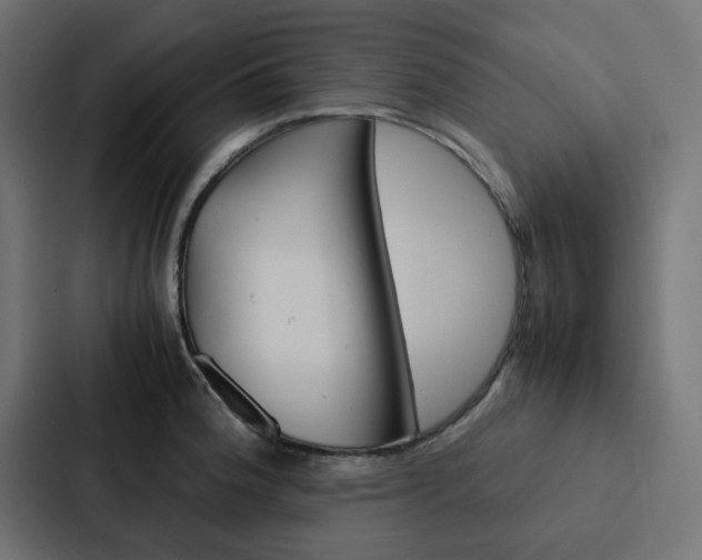 X0000088231188200705151043