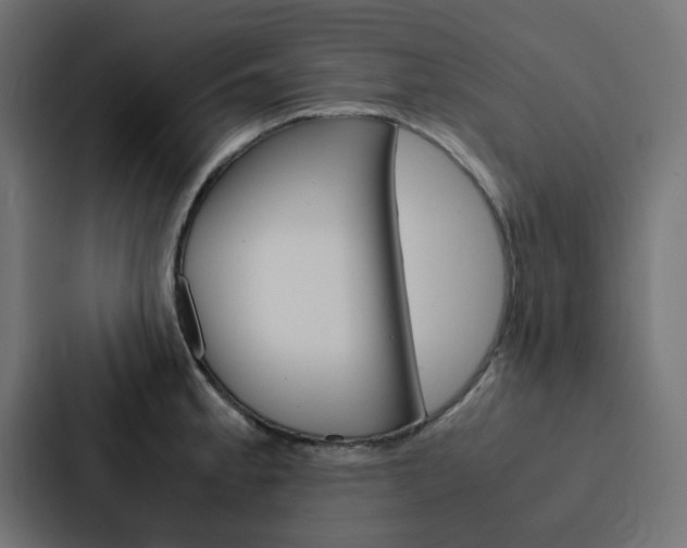 X0000088231189200705151043