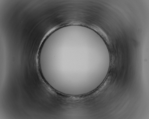 X0000088231190200705151043