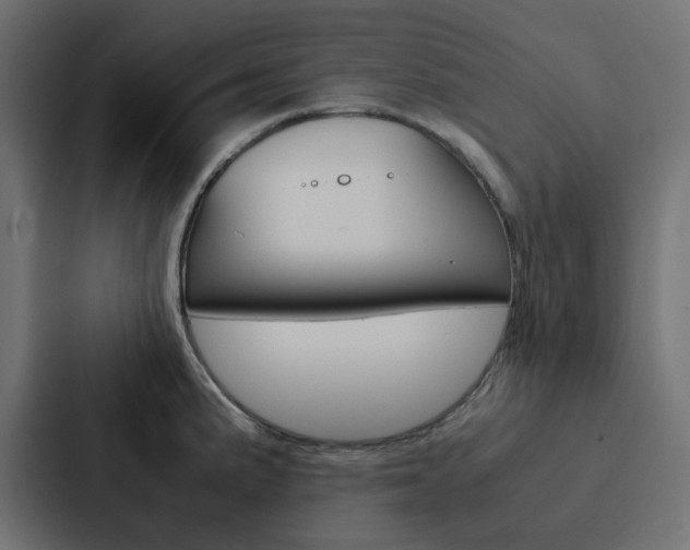 X0000088231191200705151043