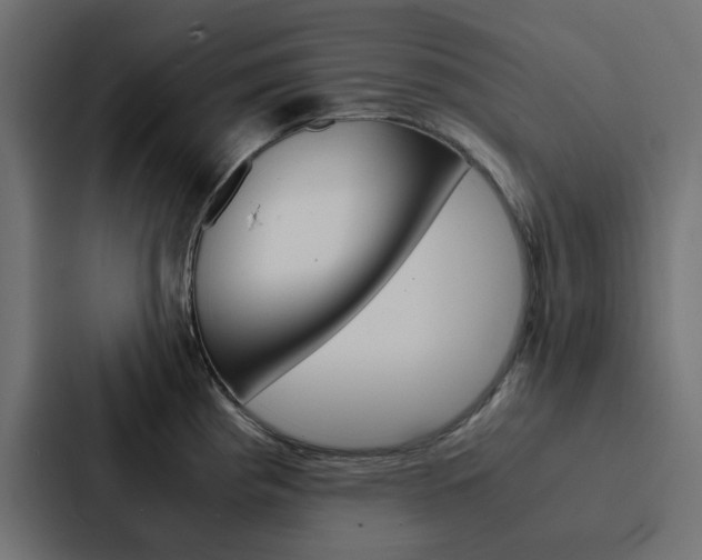 X0000088231193200705151043