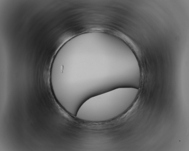 X0000088231194200705151043