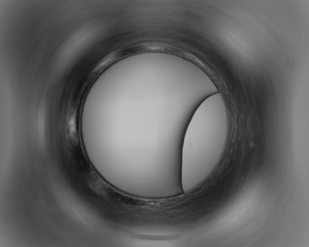 X0000088231198200705151043