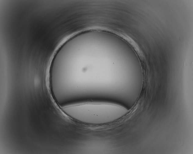 X0000088231199200705151042