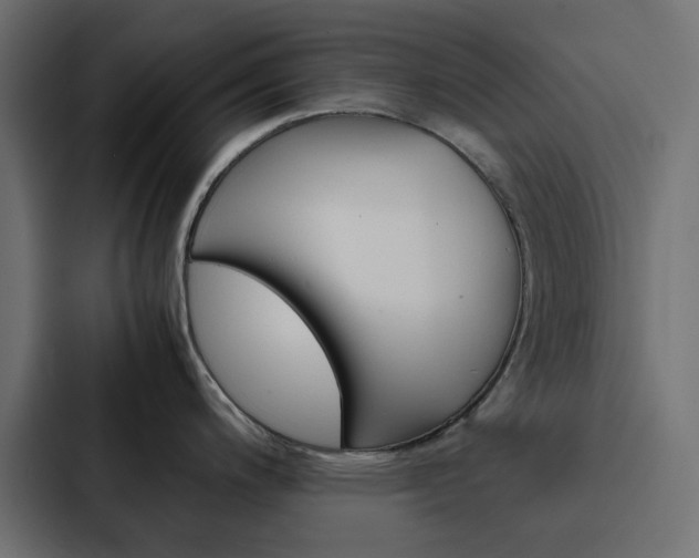 X0000088231200200705151042