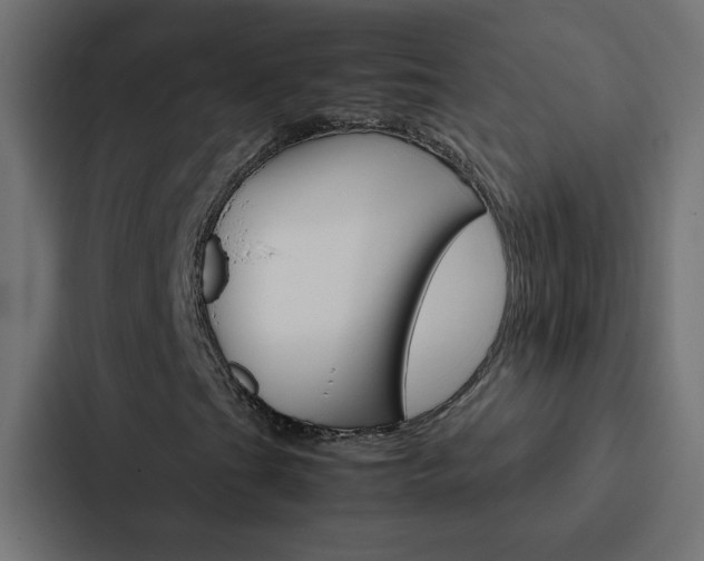 X0000088231201200705151042