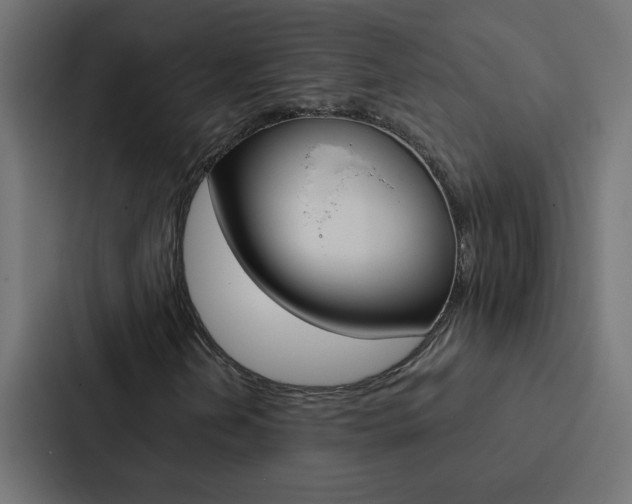 X0000088231202200705151042