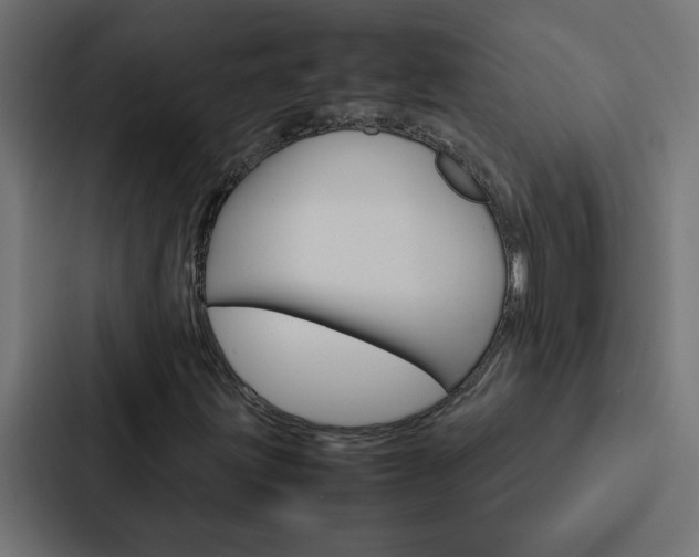 X0000088231203200705151042