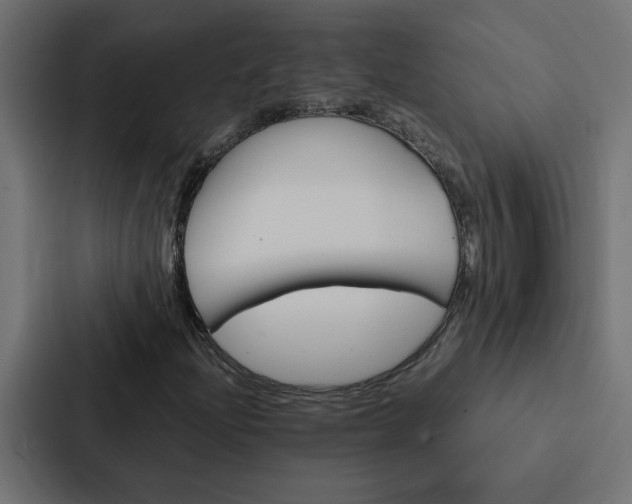X0000088231204200705151042