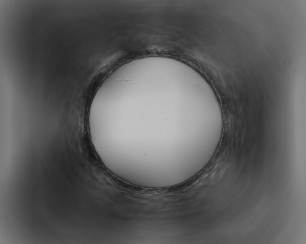 X0000088231205200705151042