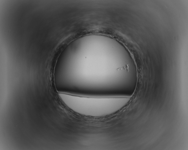 X0000088231206200705151042
