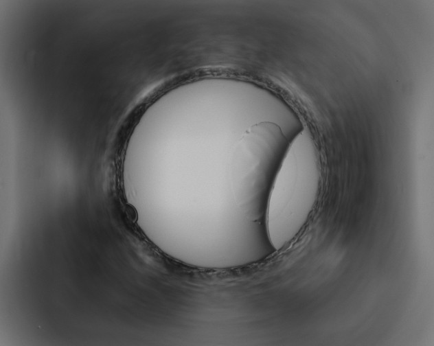 X0000088231208200705151042