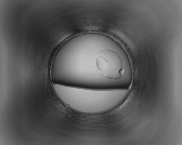 X0000088231209200705151042