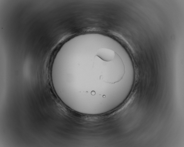 X0000088231211200705151042