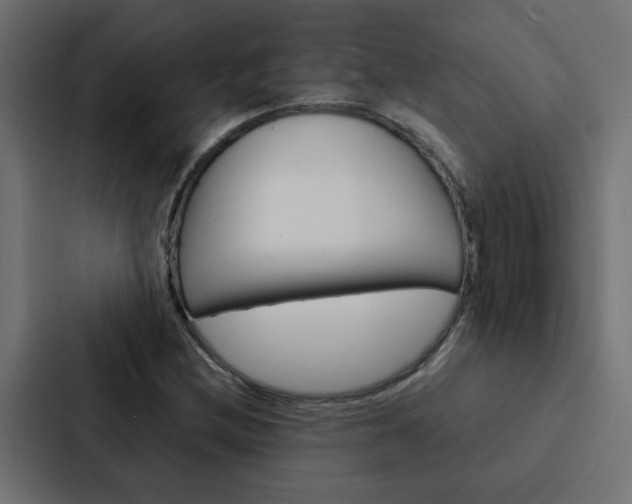 X0000088231212200705151042