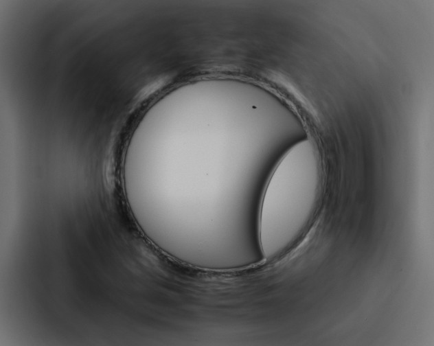 X0000088231213200705151042