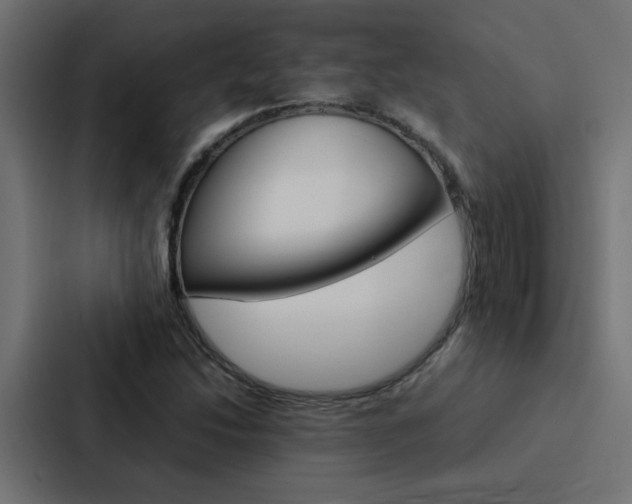 X0000088231214200705151042