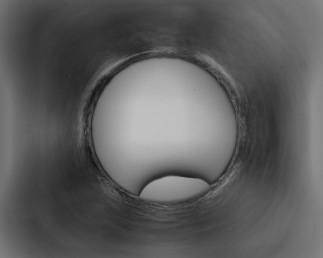 X0000088231215200705151042