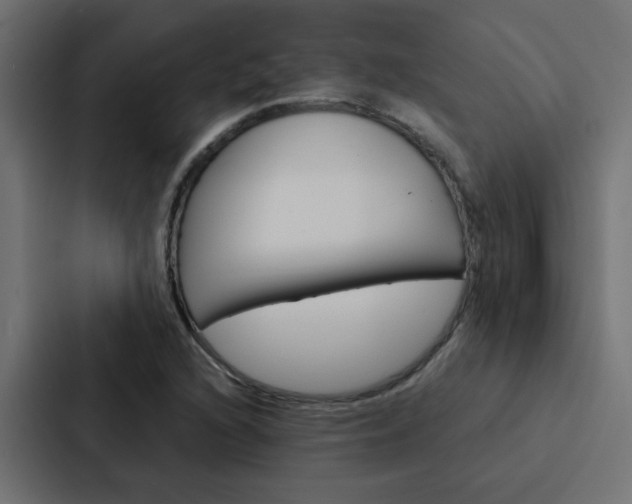 X0000088231216200705151042