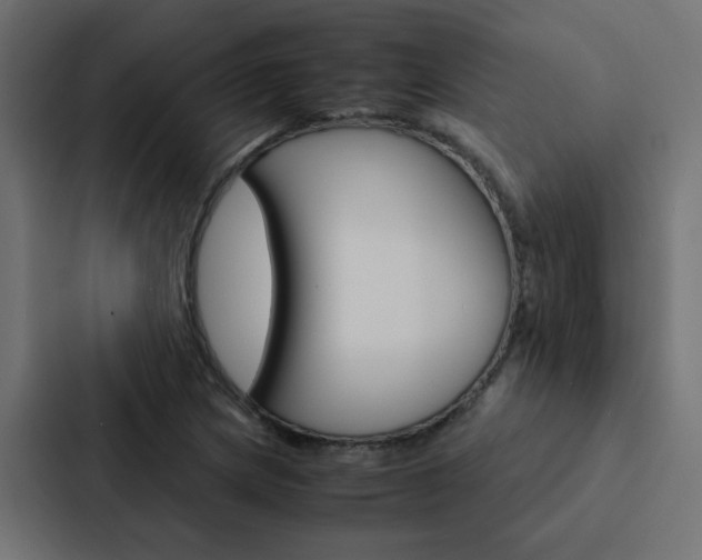 X0000088231217200705151042