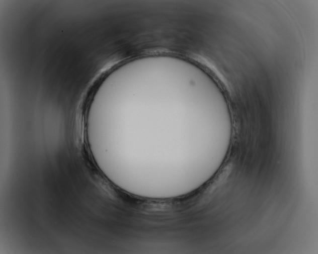 X0000088231219200705151042