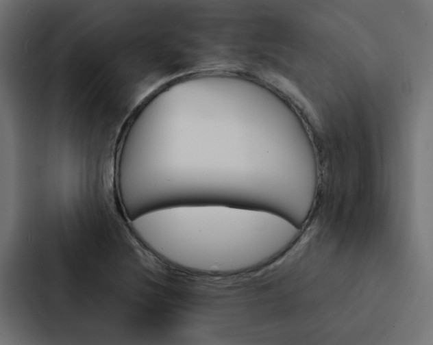 X0000088231220200705151042