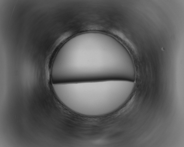 X0000088231221200705151042