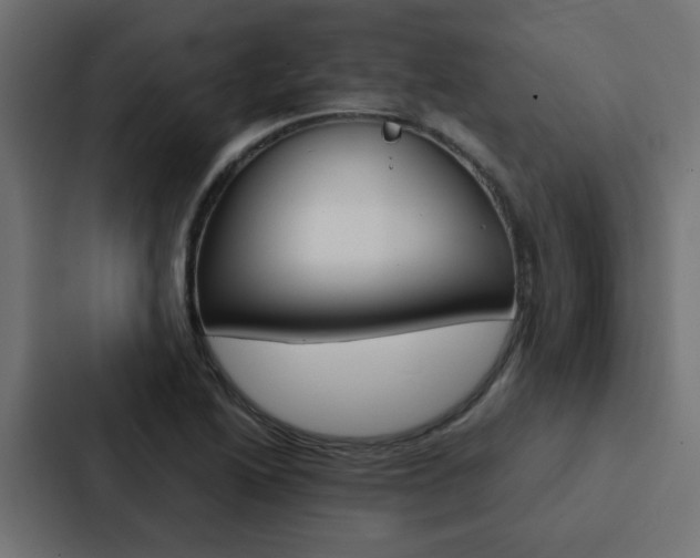 X0000088231222200705151042