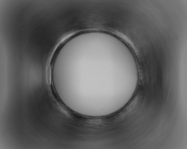 X0000088231223200705151042