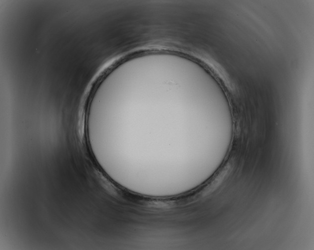 X0000088231224200705151042