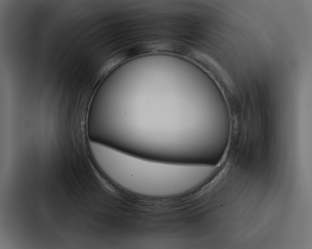 X0000088231225200705151042