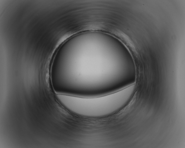 X0000088231226200705151042