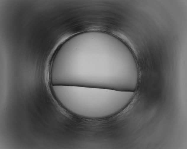 X0000088231227200705151042