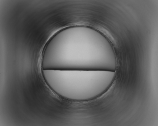 X0000088231228200705151042