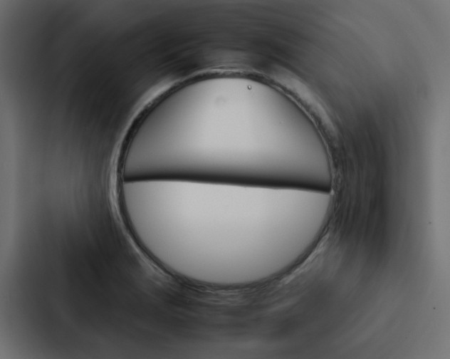 X0000088231229200705151042