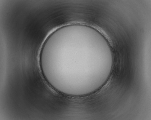 X0000088231230200705151042