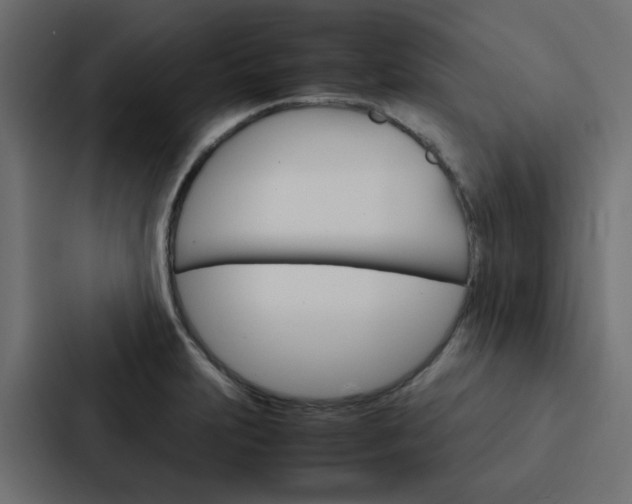 X0000088231231200705151042